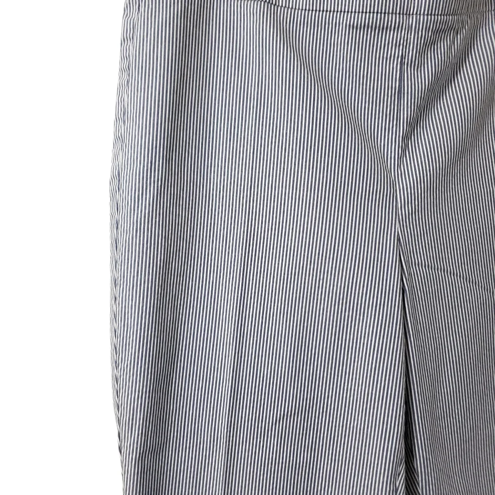 Talbots‎ Chatham Pinstripe Slim Ankle Side Zip Pants Blue/White Womens Sz 14